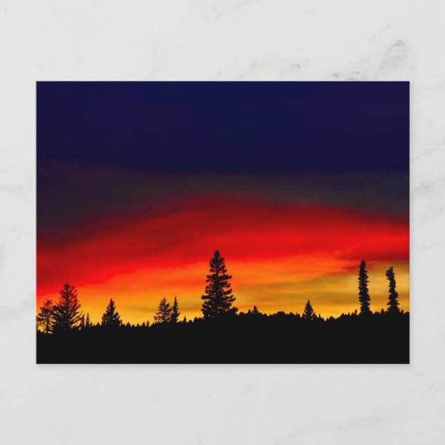 Yellowstone Sunset Vykort (Framsida)