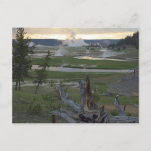 Yellowstone Sunsets Vykort