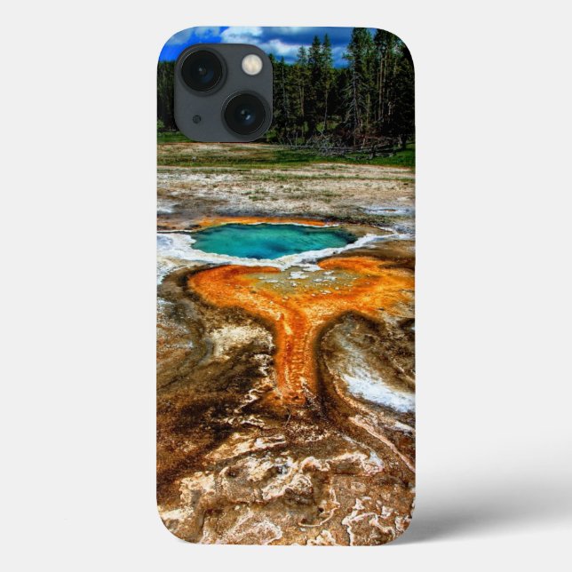 Yellowstone termisk bassäng (Baksida)