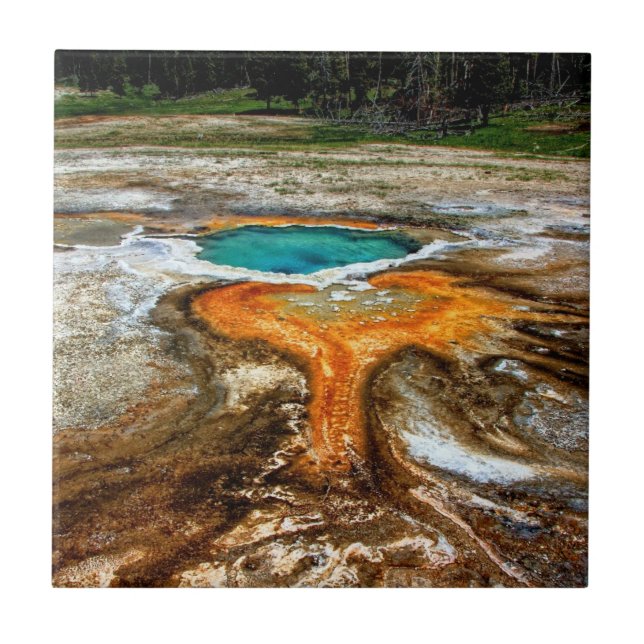 Yellowstone termisk bassäng kakelplatta (Framsidan)