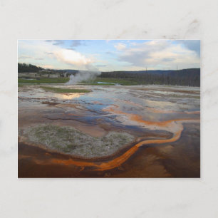 Yellowstone Thermal Bassäng Vykort