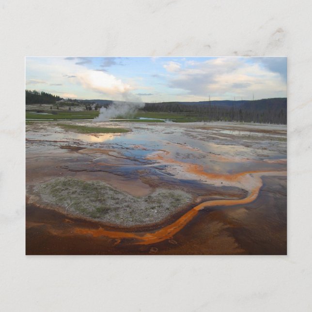 Yellowstone Thermal Bassäng Vykort (Framsida)
