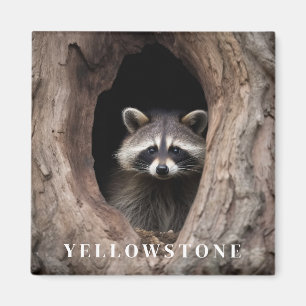 Yellowstone Tvättbjörn Magnet