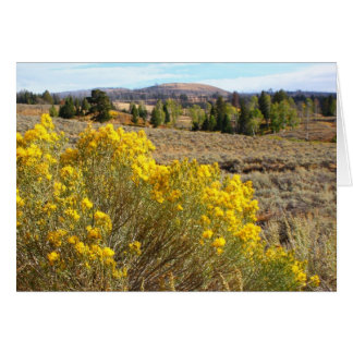 Yellowstone utsikt hälsningskort