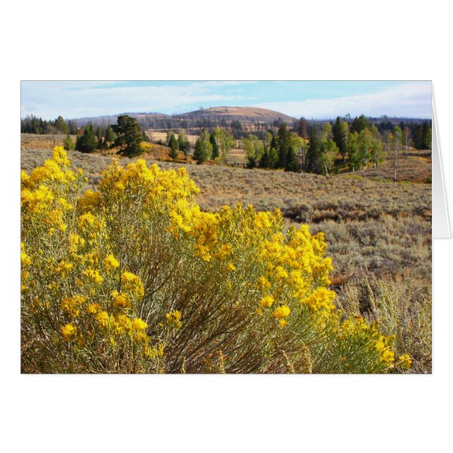 Yellowstone utsikt hälsningskort (Framsidan Horizontal)