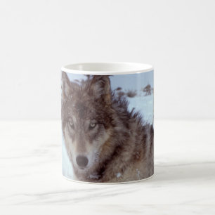 Yellowstone varg kaffemugg