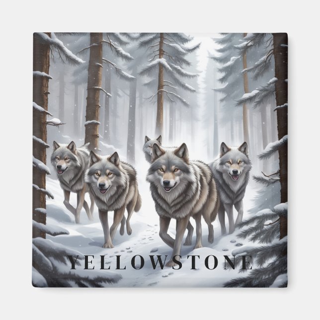 Yellowstone Varg Magnet (Framsidan)
