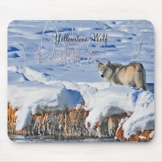 Yellowstone varg Mousepad Musmatta (Framsidan)