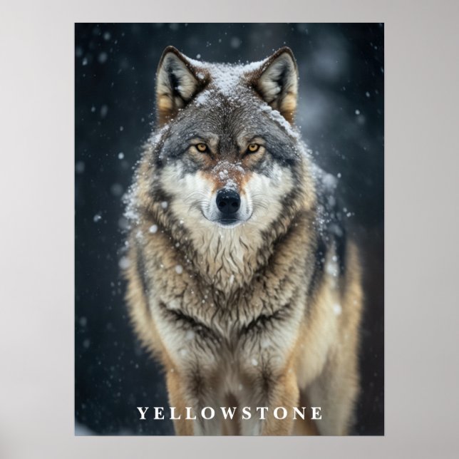 Yellowstone-Varg Poster (Framsidan)