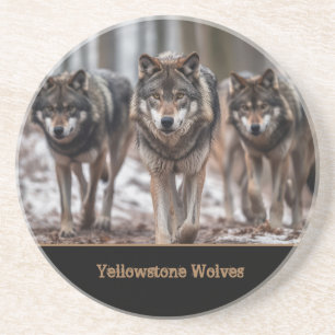 Yellowstone Vargars Sandstone Underlägg