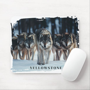 Yellowstone-Varger Musmatta