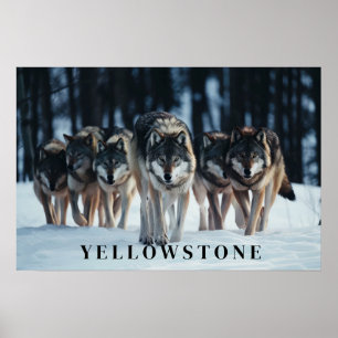 Yellowstone-Varger Poster konst