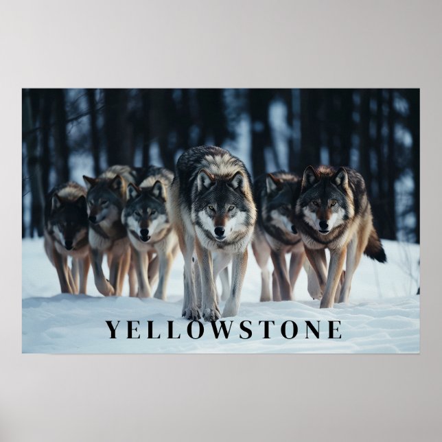 Yellowstone-Varger Poster konst (Framsidan)