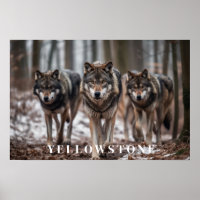 Yellowstone-Varger Poster konst