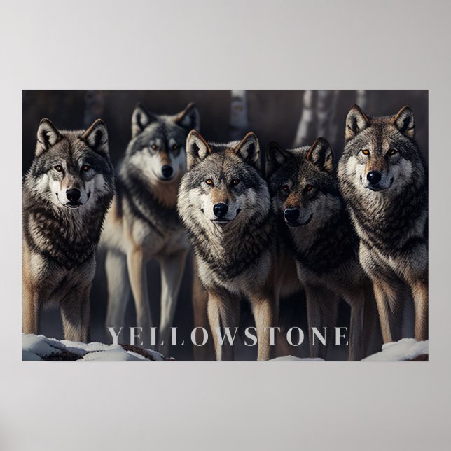 Yellowstone-Varger Poster konst (Framsidan)