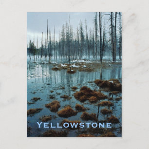 Yellowstone-vykort Vykort