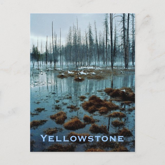Yellowstone-vykort Vykort (Framsida)