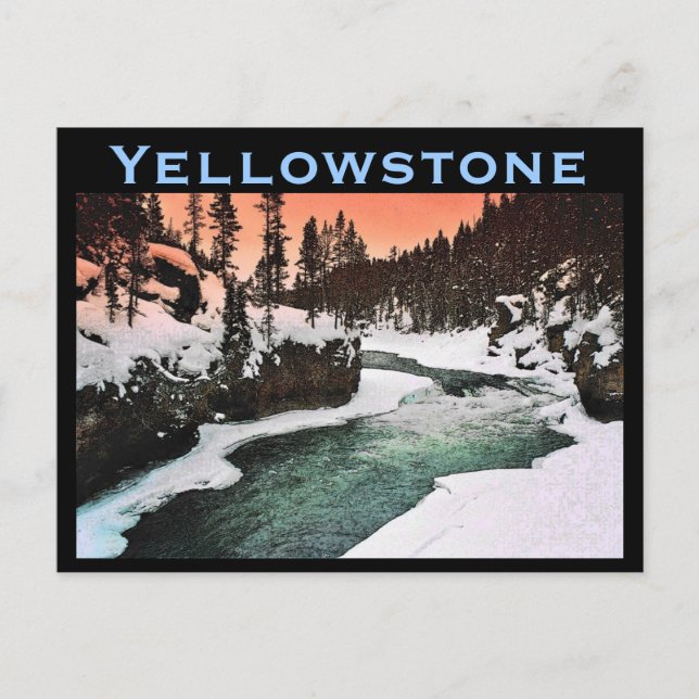 Yellowstone-vykort Vykort (Framsida)