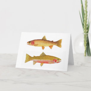 Yellowstone & Westslope mordisk forell Kort