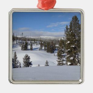 Yellowstone Winter liggande foto Julgransprydnad Metall