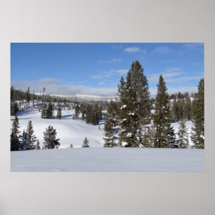 Yellowstone Winter liggande foto Poster