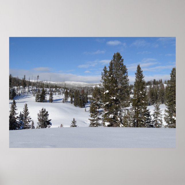Yellowstone Winter liggande foto Poster (Framsidan)