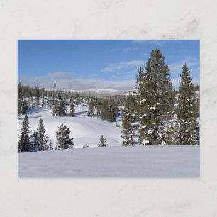 Yellowstone Winter liggande foto Vykort
