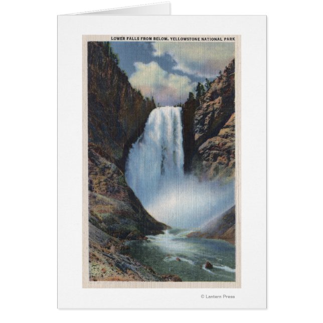 Yellowstone, WYLower Falls från Vyn Hälsningskort (Framsidan)