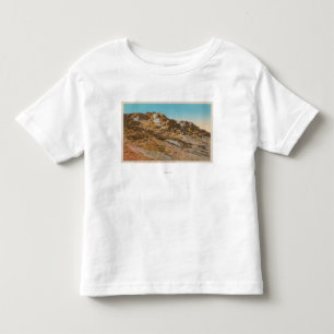 Yellowstone WYView av den Jupiter terrassen T Shirt