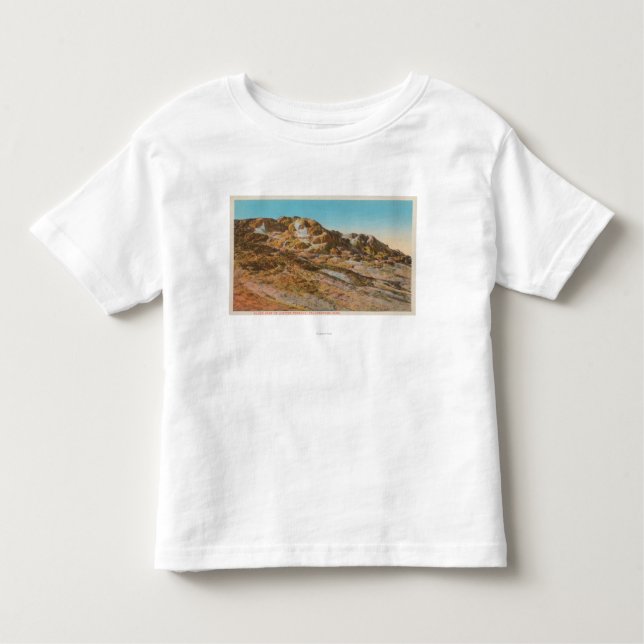 Yellowstone WYView av den Jupiter terrassen T Shirt (Framsida)