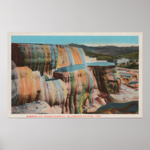 Yellowstone WYView av Mammoth Hot Springs Poster