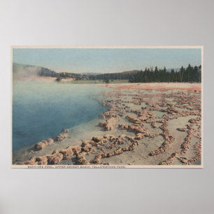 Yellowstone WYView av safirbassängen Poster