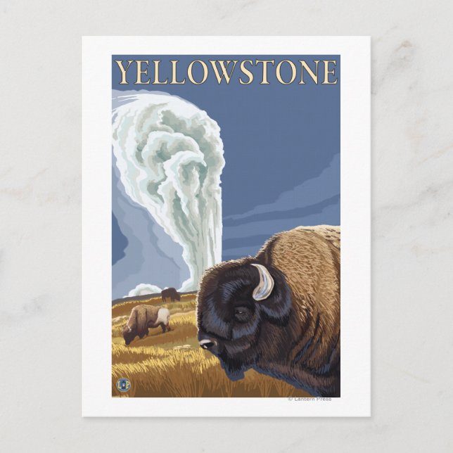 YellowstoneBison med gammal faithful Vykort (Framsida)