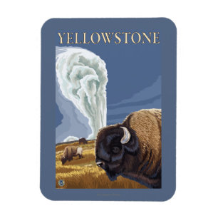 YellowstoneBison med gammalt troget Magnet