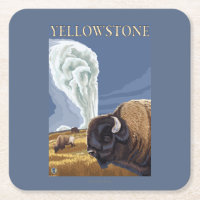 YellowstoneBison med gammalt troget