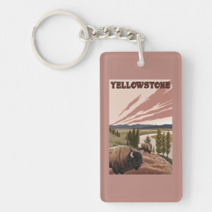 YellowstoneBison plats