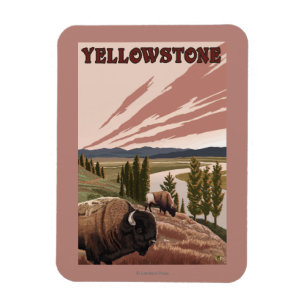 YellowstoneBison plats Magnet