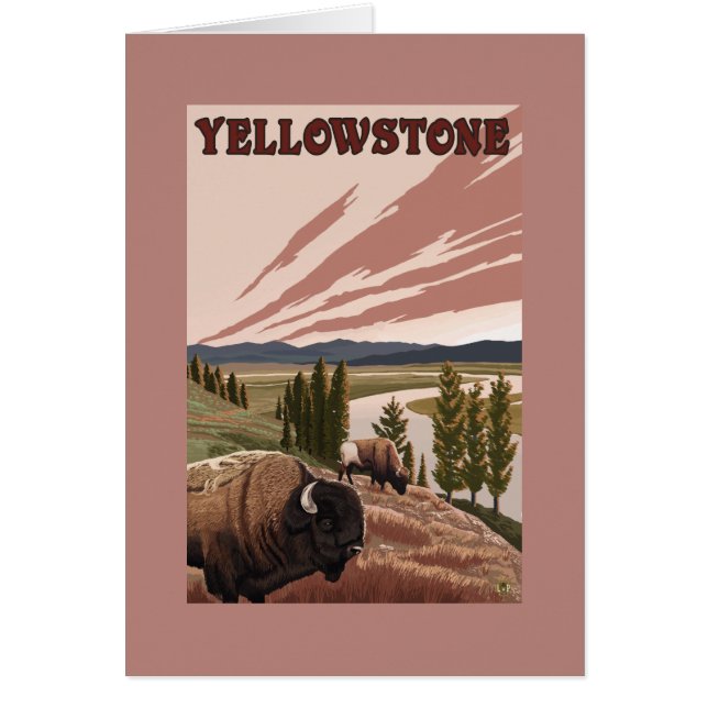 YellowstoneBison Scene Hälsningskort (Framsidan)