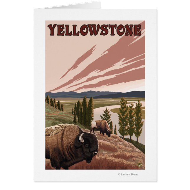 YellowstoneBison Scene Hälsningskort (Framsidan)