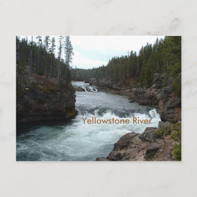 Yellowstoneflodskort Vykort (Framsida)