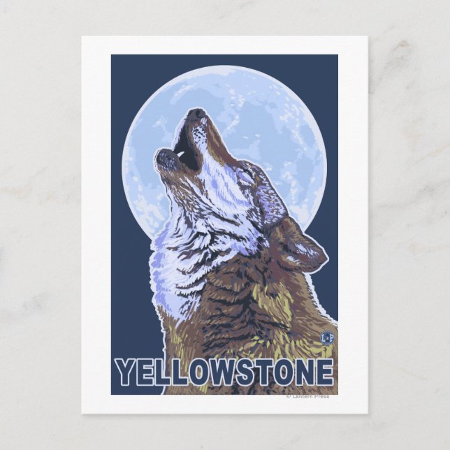 YellowstoneHowling-Varg Vykort (Framsida)