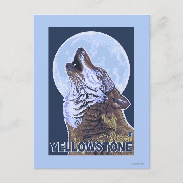 YellowstoneHowling varg Vykort (Framsida)