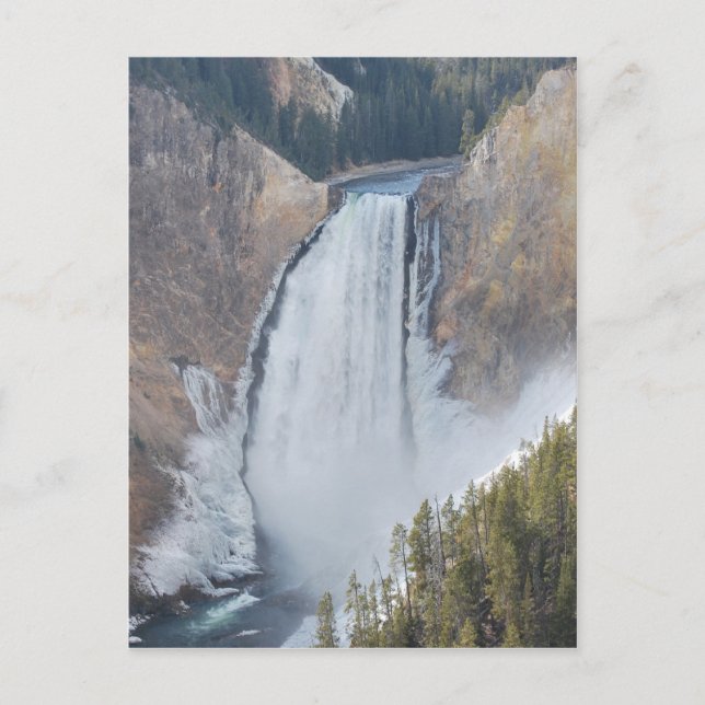 Yellowstones nedre fall vykort (Framsida)