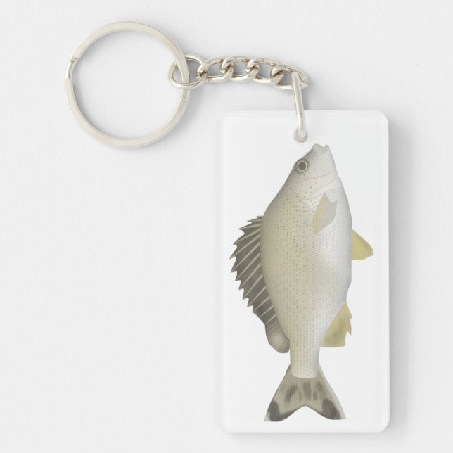 Yellowtail Trumpeter (Framsidan)