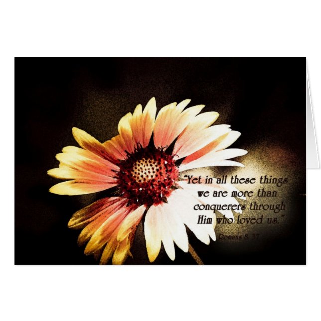 YetinallDessaSakerZazzle OBS Kort (Framsidan Horizontal)