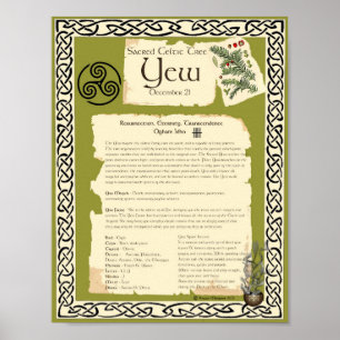 YEW CELTIC HELIG TRÄD POSTER