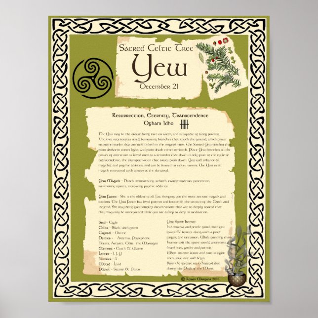 YEW CELTIC HELIG TRÄD POSTER (Framsidan)