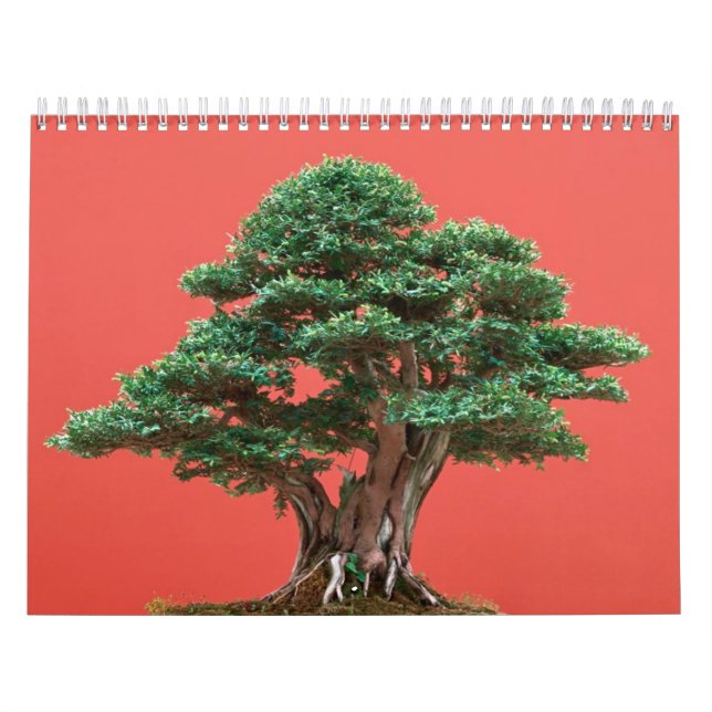 Yewbonsai Kalender (Omslag)