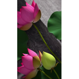 YGA Pose Instructor Studio Open House ZEN-symbol Reklamblad