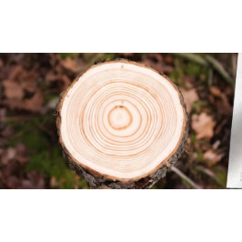 YGA Studio Pris List Meditation Pose Bodhi Löv Reklamkort